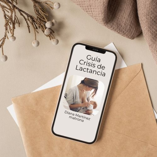 Guía crisis de lactancia
